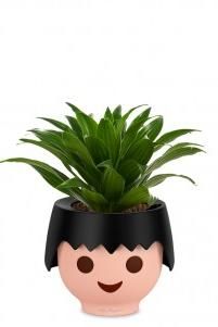 Драцена Компакта в OJO 25 см, черный Драцена Компакта в OJO 25 см, черный