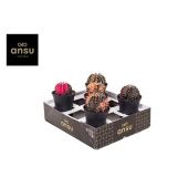 Гимно Кактус вариегатный d10 см h17.5 см Гимно Кактус вариегатный d10 см h17.5 см