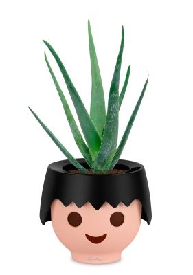 Алоэ Вера в OJO, черный Алоэ Вера в OJO, черный