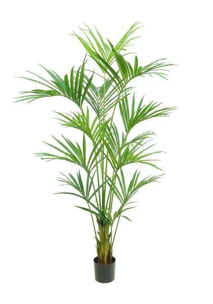 Дерево искусственное в кашпо "Пальма Кентия (Ховея)", Н210 см, 12 веток, 224 листа