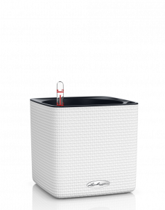 Кашпо LECHUZA CUBE Color 16х16 см