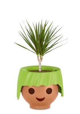 Драцена Маргината 1 ствол 12/40 см в OJO, зеленый