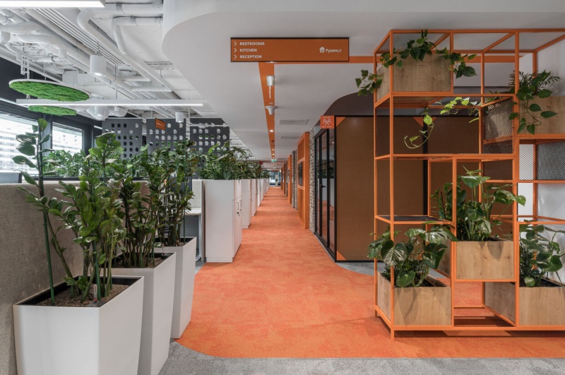 Неприхотливые растения для офиса