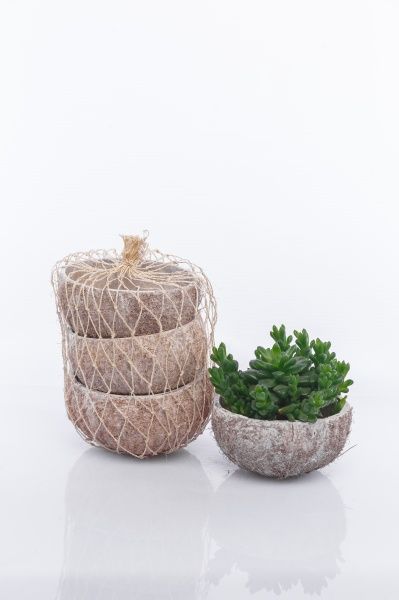 Набор из 3х кашпо "Кокос"