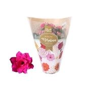 Каланхоэ Rosalina Don Victorio d7 см h15 см Каланхоэ Rosalina Don Victorio d7 см h15 см