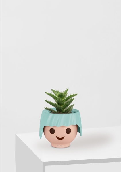 Алоэ Хавортия микс 5 см в OJO