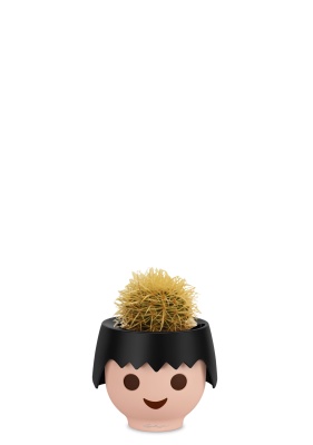 Кактус микс 12 см в OJO Кактус микс 12 см в OJO