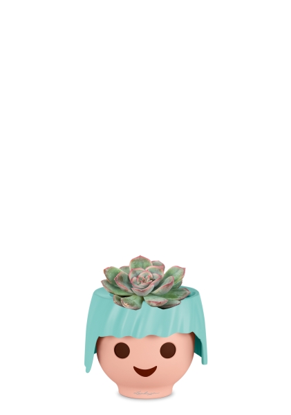 Суккулент микс 5 см в OJO Суккулент микс 5 см в OJO