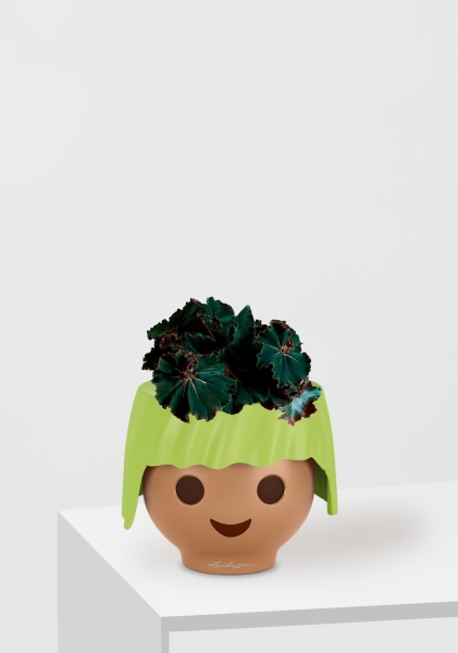 Бегония Рекс Дарк Мамба 12/25 см в OJO