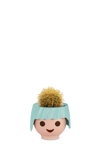 Кактус микс 12 см в OJO Кактус микс 12 см в OJO