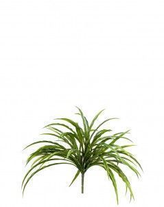 Трава Ванилла Грасс бело-зелёная