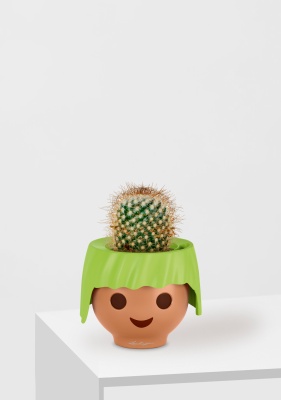 Кактус Маммиллярия Альбиланата 12/20 см в OJO, зеленый