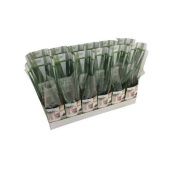 Алоэ Вера 10,5/35 см тип 4