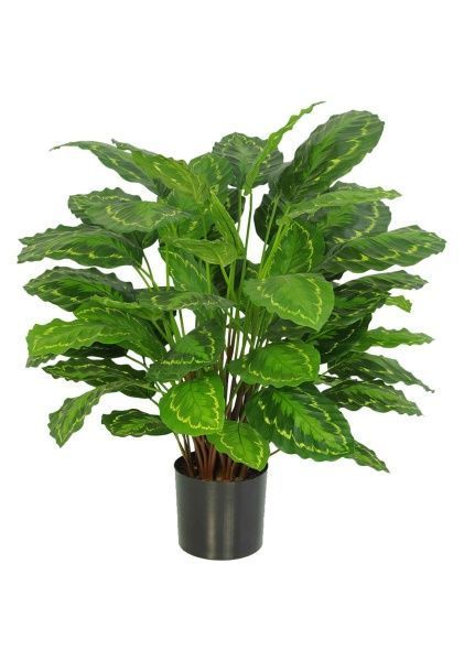 Растение искусственное в кашпо "Калатея", H76 см, 55 веток