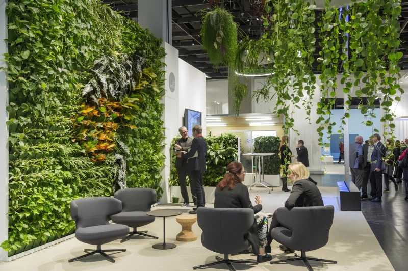 Аренда растений: стильное оформление без лишних затрат