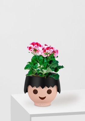 Пеларгония Грандифлора 12/25 см в OJO