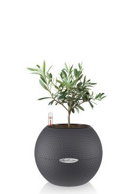 Олива в PURO 20, серый Олива в PURO 20, серый