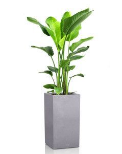 Стрелиция Николай CANTO STONE HIGH 30/160 см Серый камень Стрелиция Николай CANTO STONE HIGH 30/160 см Серый камень