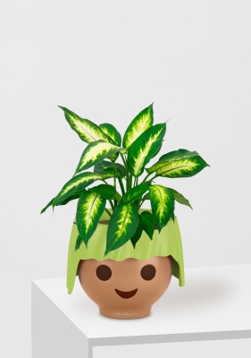 Диффенбахия Камилла 12/40 см в OJO, зеленый Диффенбахия Камилла 12/40 см в OJO, зеленый