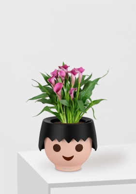 Калла микс 12/35 см в OJO, черный