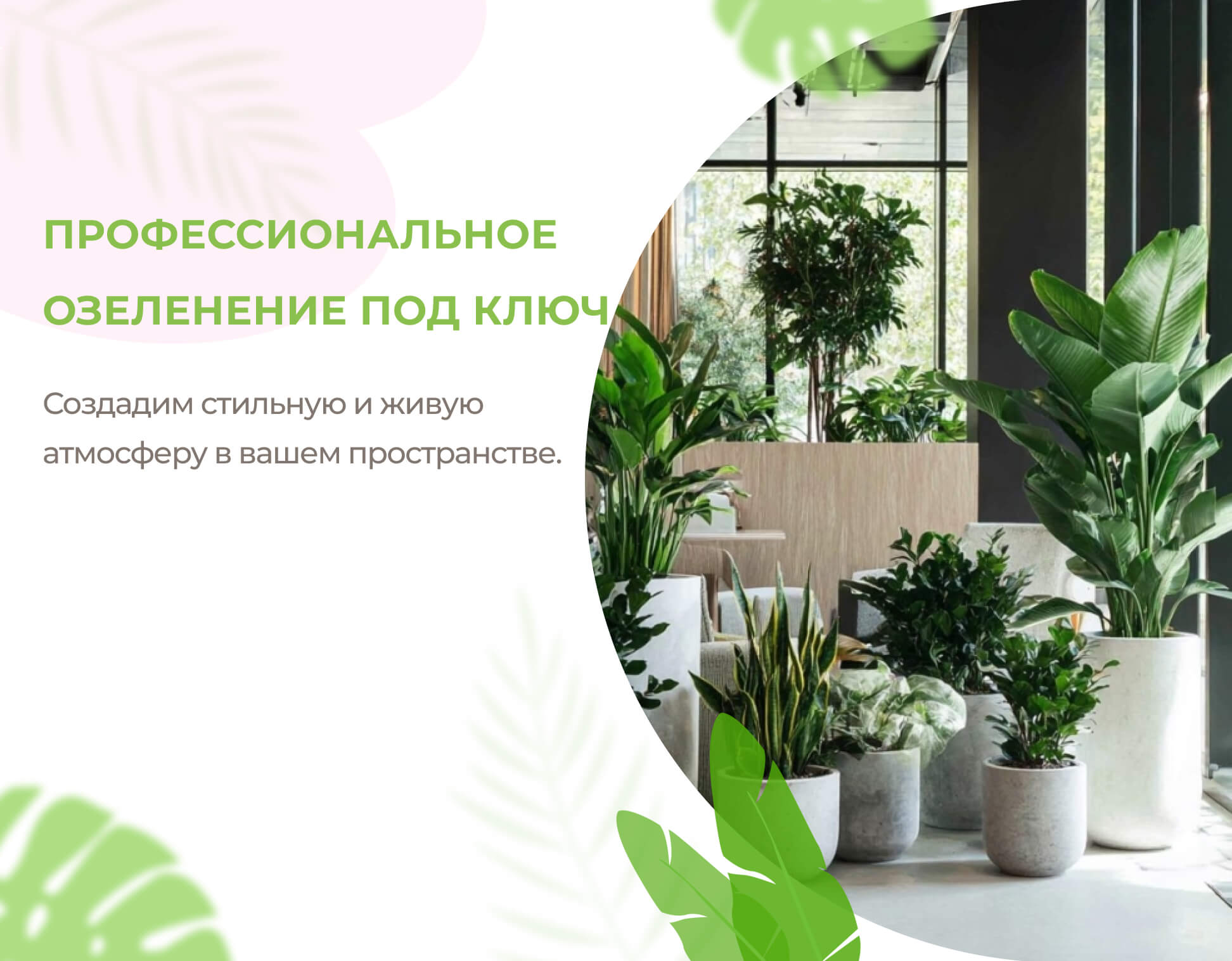 ОЗЕЛЕНЕНИЕ ОФИСОВ