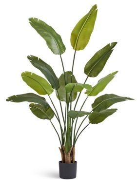 Стрелиция New Style c UV-защитой