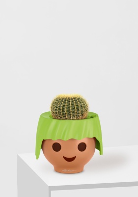 Эхинокактус Грузони 12/20 см в OJO, зеленый