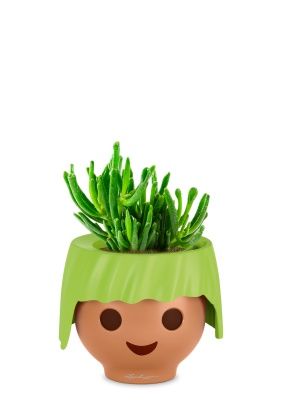 Крассула Хоббит 12/20 см в OJO, зеленый