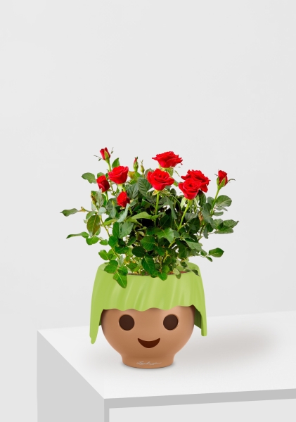 Роза Бо Монд красная 12/25 см в OJO