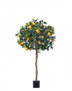 Мандарин Голден Оранж штамбовый