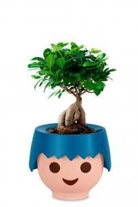 Фикус бонсай OJO 40 см, Синий Фикус бонсай OJO 40 см, Синий