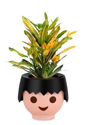 Кротон Санни в OJO, черный Кротон Санни в OJO, черный