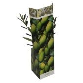 Олива европейская d9 см h35 см Олива европейская d9 см h35 см