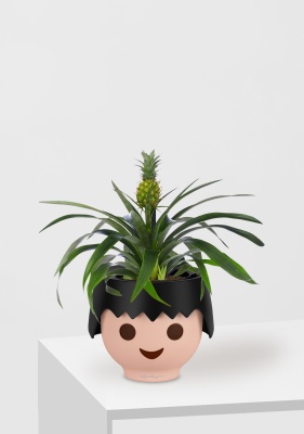 Ананас 12/40 см в OJO