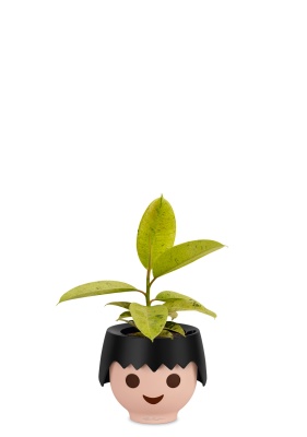 Фикус Эластика Шривериана 12/30 см OJO, черный Фикус Эластика Шривериана 12/30 см OJO, черный