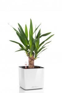 Юкка CUBE GLOSSY 14/45 см Белый блестящий