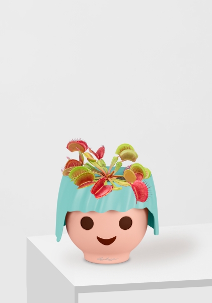 Венерина мухоловка 10 см в OJO