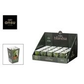 Тилландсия Tiny In Terra Pot d6 см h15 см