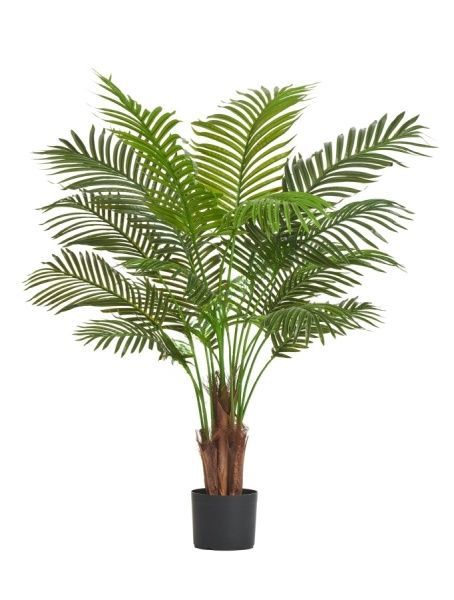 Пальма Арека Хризалидокарпус New 120 см