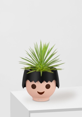 Агава Нана 10/20 см в OJO Агава Нана 10/20 см в OJO