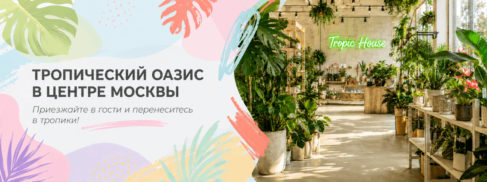 ТРОПИЧЕСКИЙ ОАЗИС В ЦЕНТРЕ МОСКВЫ ТРОПИЧЕСКИЙ ОАЗИС В ЦЕНТРЕ МОСКВЫ