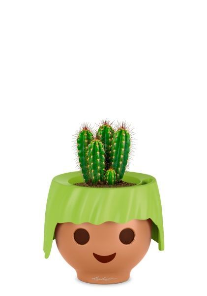 Кактус Неораймондия Герцога 12/20 см в OJO