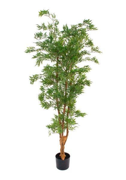 Дерево искусственное в кашпо "Полисциас", H160 см
