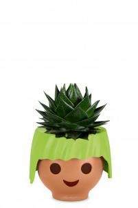 Алоэ Космо в OJO 25 см