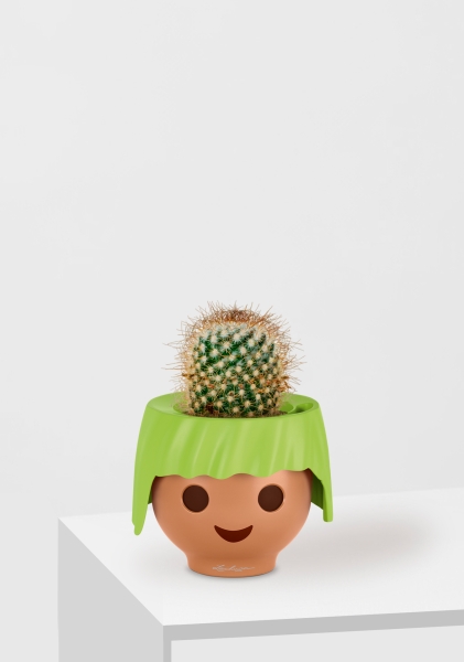 Кактус Маммиллярия Альбиланата 12/20 см в OJO