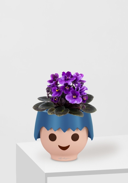 Фиалка микс 12/25 см в OJO