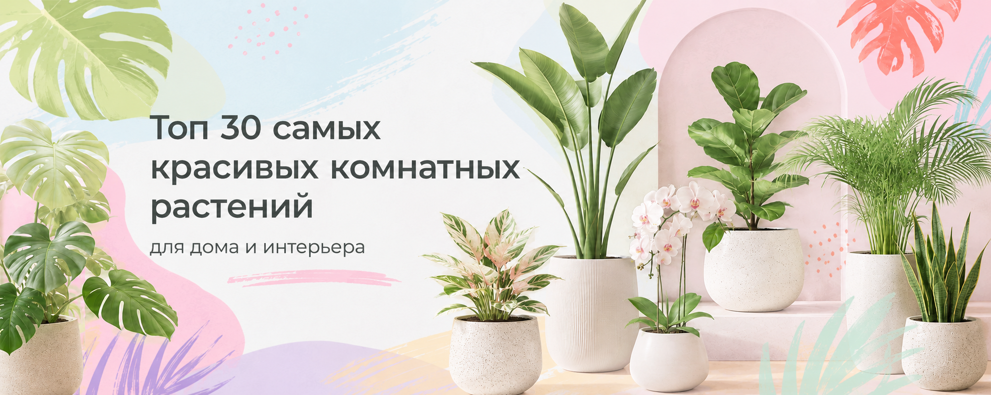 Самые красивые комнатные растения Самые красивые комнатные растения