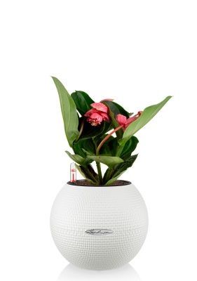 Мединилла 14/45 см в PURO 20, белый