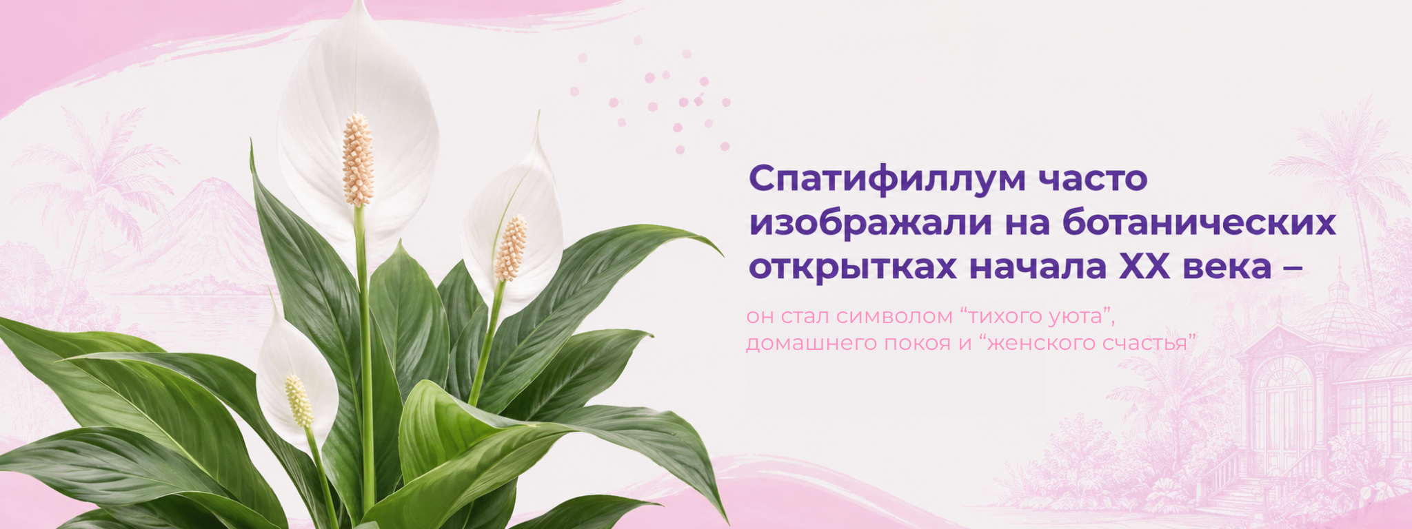 межстраничный цветущие 1 межстраничный цветущие 1