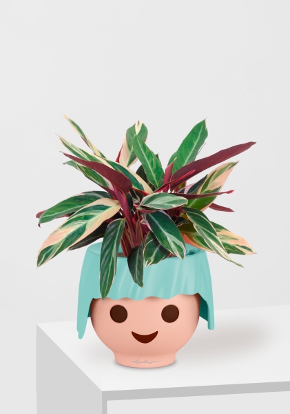 Строманта 12/40 см в OJO